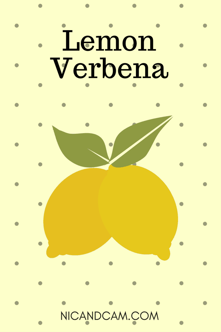 Pinterest - Lemon Verbena