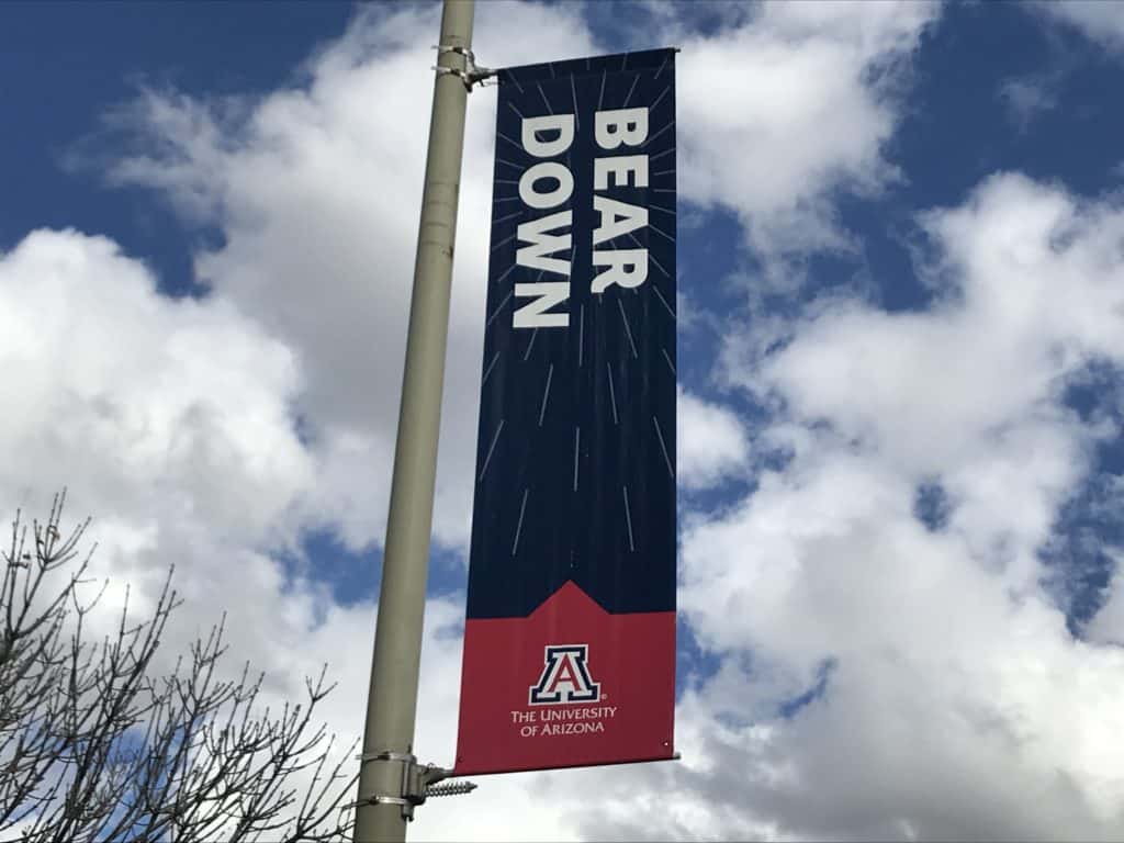 Bear Down Arizona